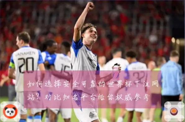 世界杯决赛买球官网sjbe.top正式版安全吗？